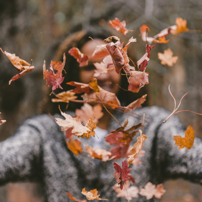 autumn leaves square