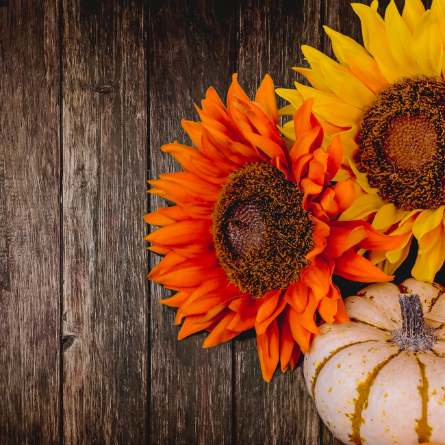 pumpkin and sunflower